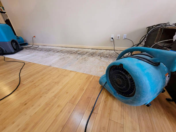 Professional Basement Flood Cleanup technician working in Harper Woods, MI